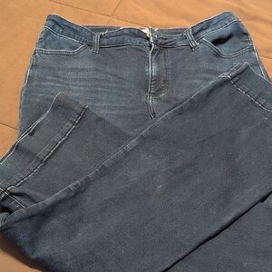 Women's Classic Wrangle trouser pant